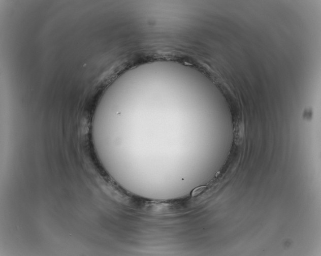 X0000091510472200709141358