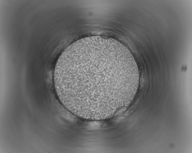 X0000091510473200709141358