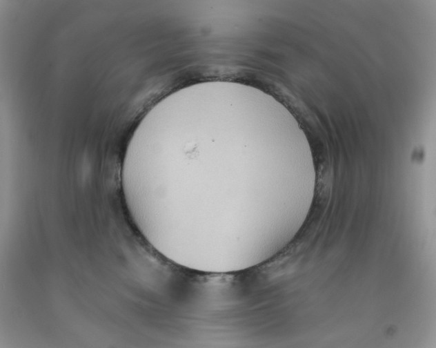 X0000091510474200709141358