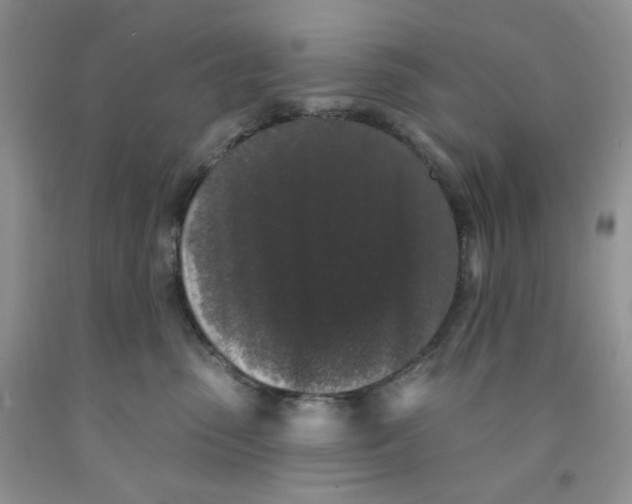 X0000091510475200709141358