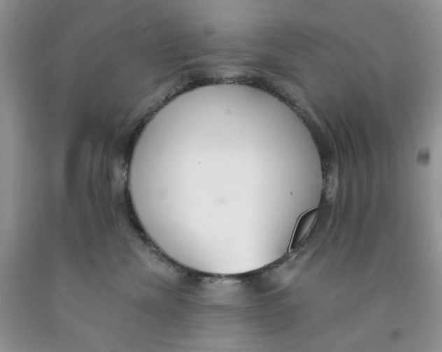 X0000091510476200709141358