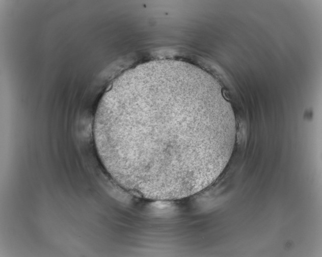 X0000091510477200709141358