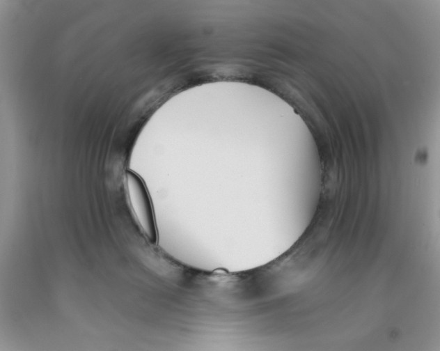 X0000091510478200709141358