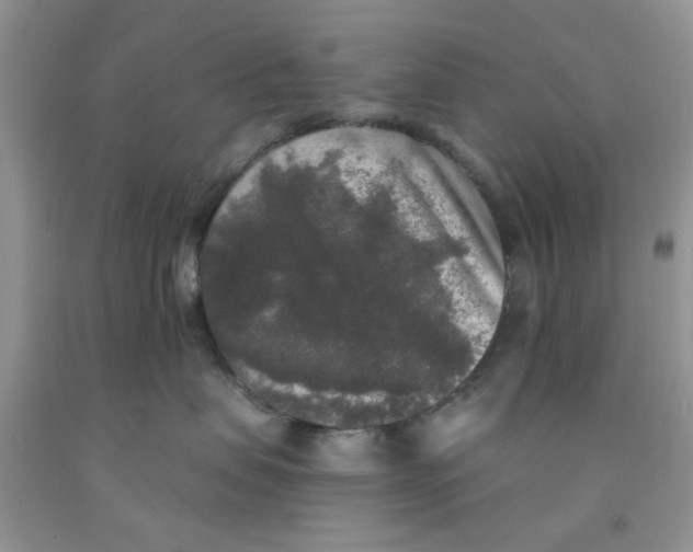 X0000091510479200709141358