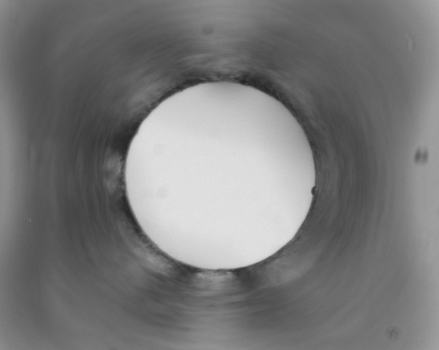 X0000091510480200709141358