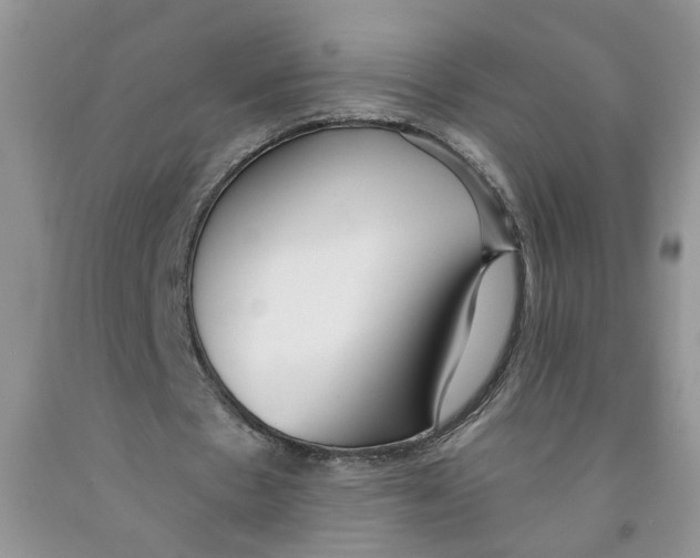 X0000091510481200709141358