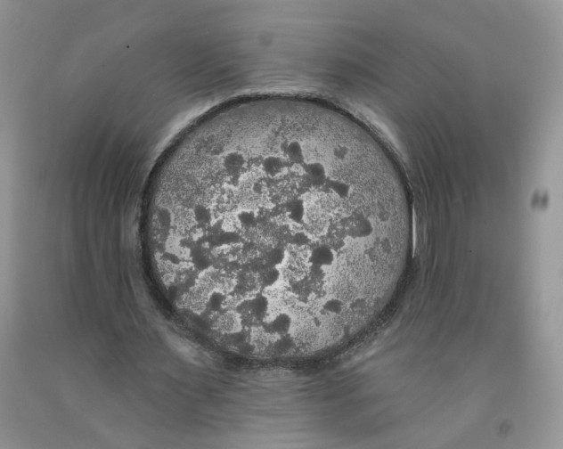 X0000091510483200709141358