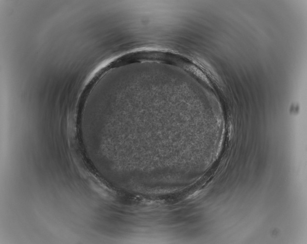 X0000091510484200709141358