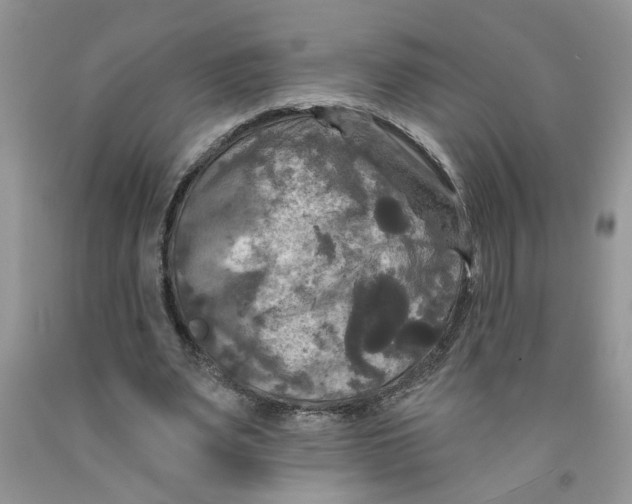 X0000091510487200709141358