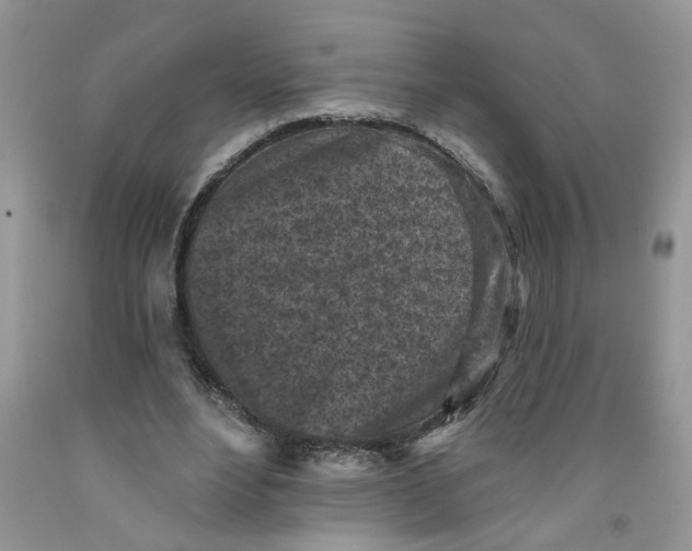 X0000091510488200709141358