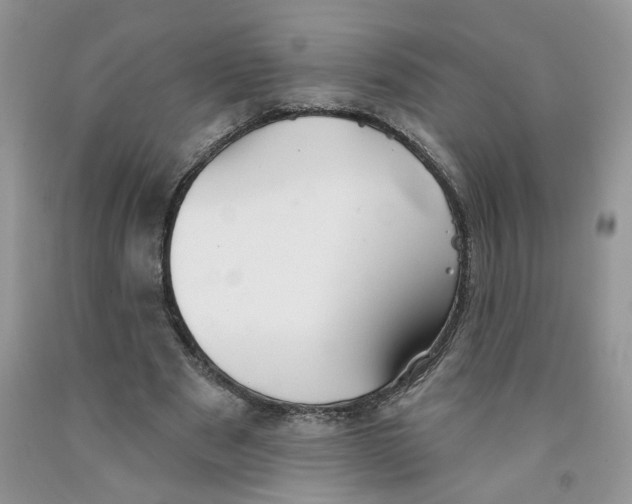 X0000091510489200709141358