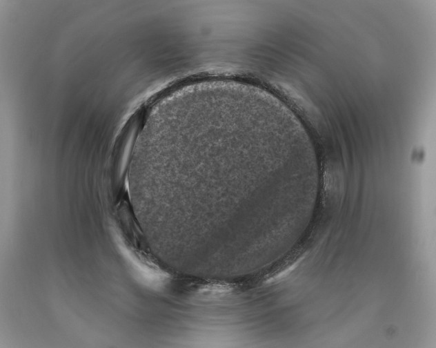 X0000091510492200709141357