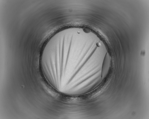 X0000091510493200709141357