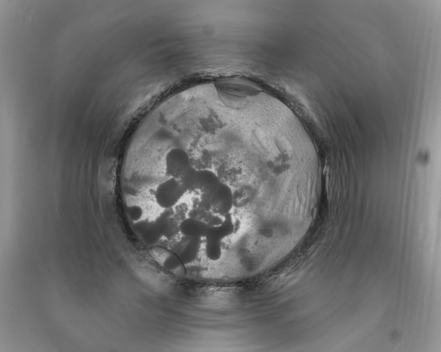 X0000091510495200709141357