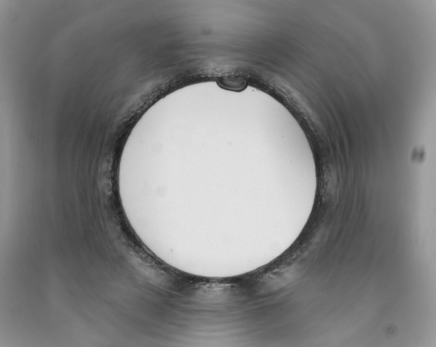 X0000091510497200709141357