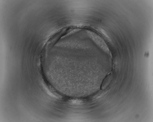 X0000091510500200709141357