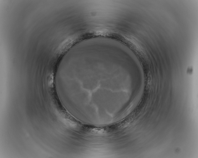 X0000091510502200709141357