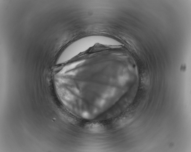 X0000091510503200709141357