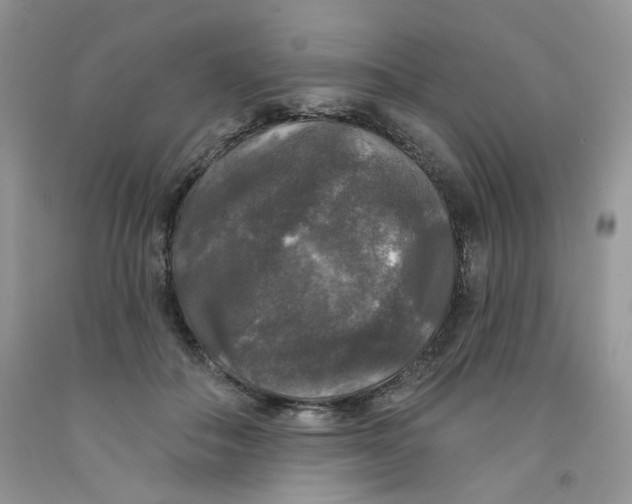 X0000091510506200709141357