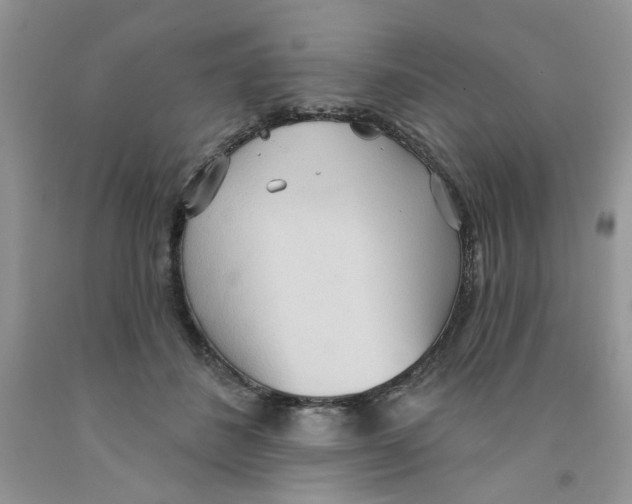 X0000091510508200709141357