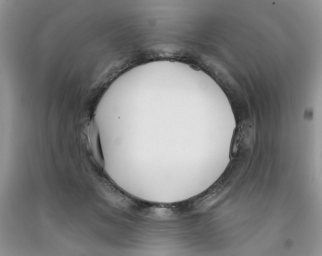 X0000091510509200709141357