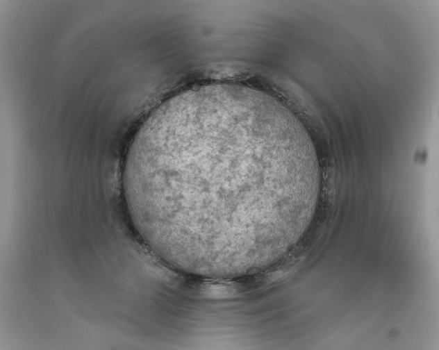 X0000091510510200709141357