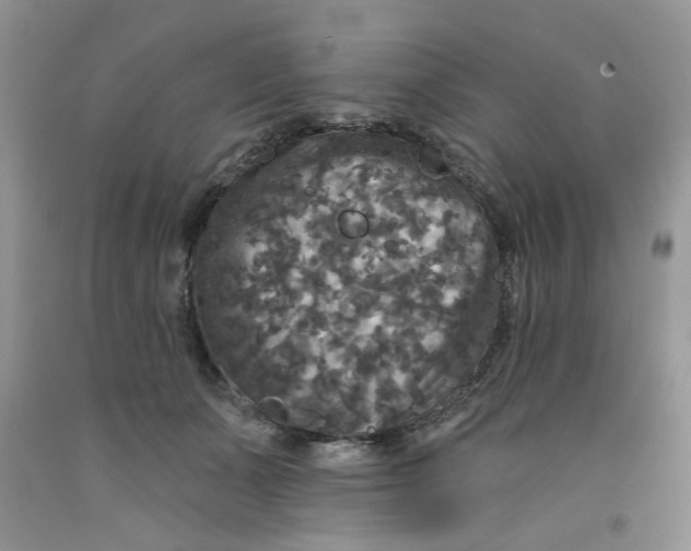 X0000091510511200709141357