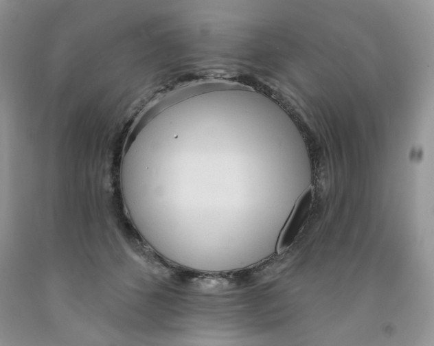 X0000091510512200709141357