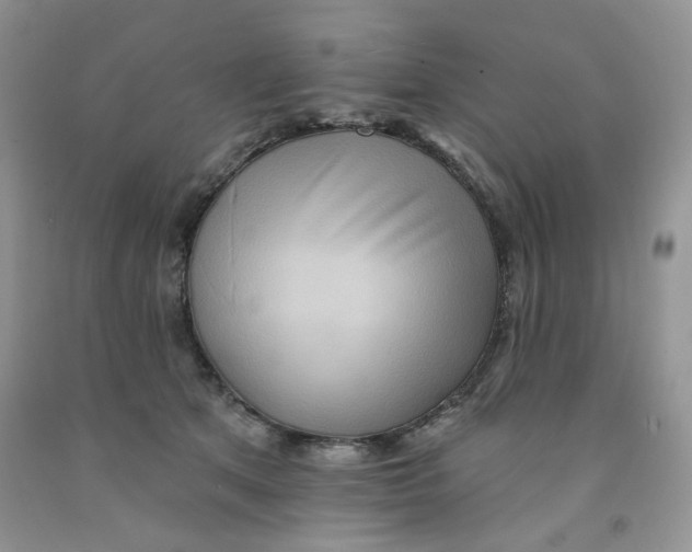 X0000091510513200709141357