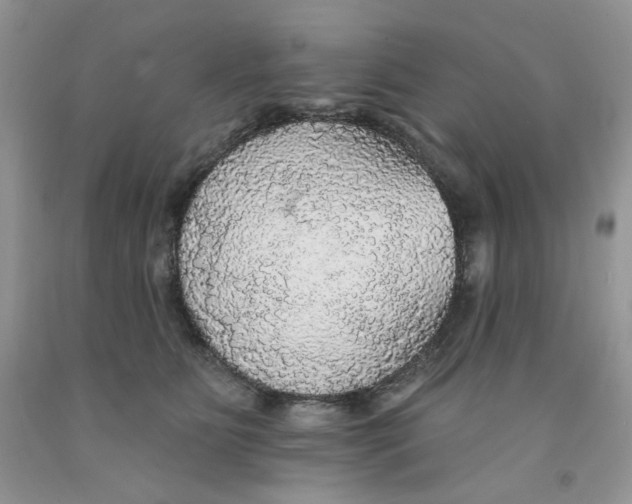 X0000091510515200709141357