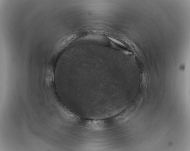 X0000091510517200709141357