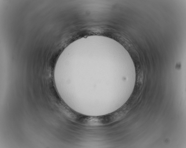 X0000091510518200709141357