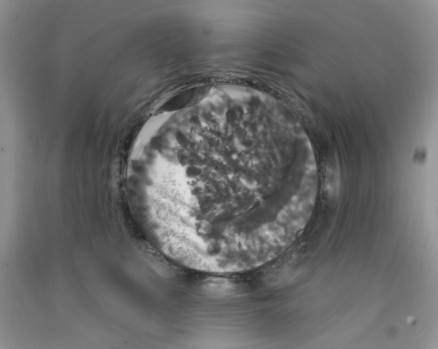 X0000091510519200709141357