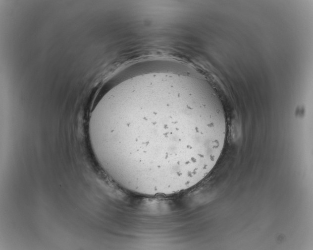 X0000091510520200709141357