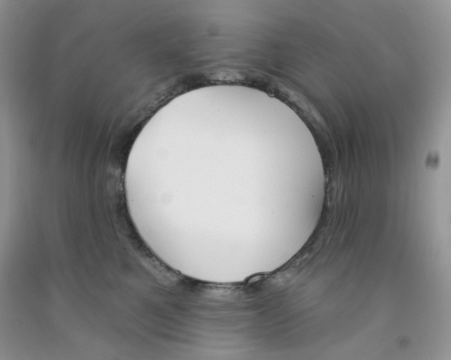 X0000091510521200709141357