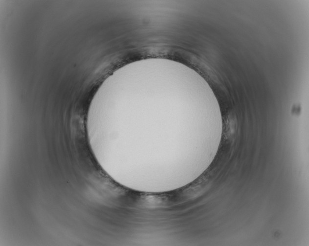 X0000091510522200709141357