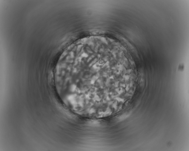 X0000091510523200709141357