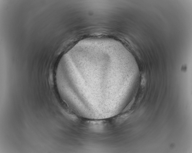 X0000091510524200709141357