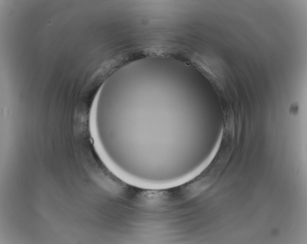 X0000091510526200709141357