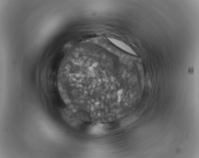 X0000091510527200709141357