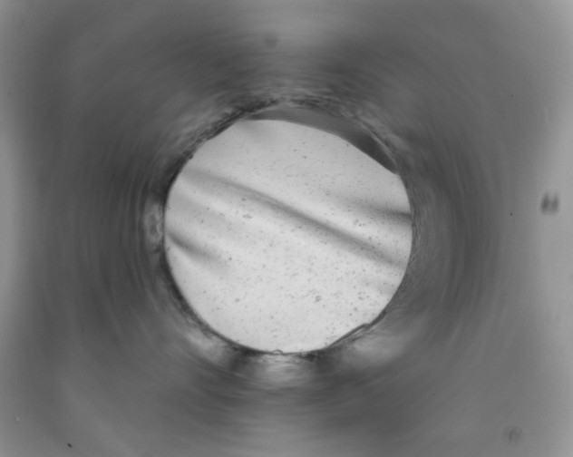 X0000091510528200709141357