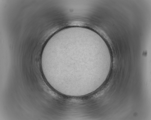 X0000091510529200709141356