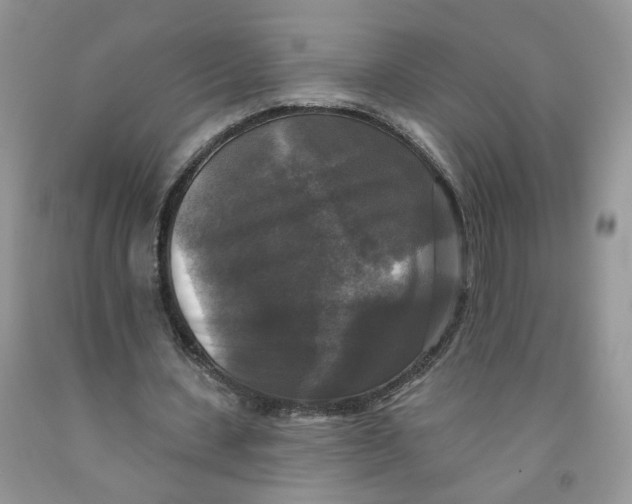 X0000091510531200709141356