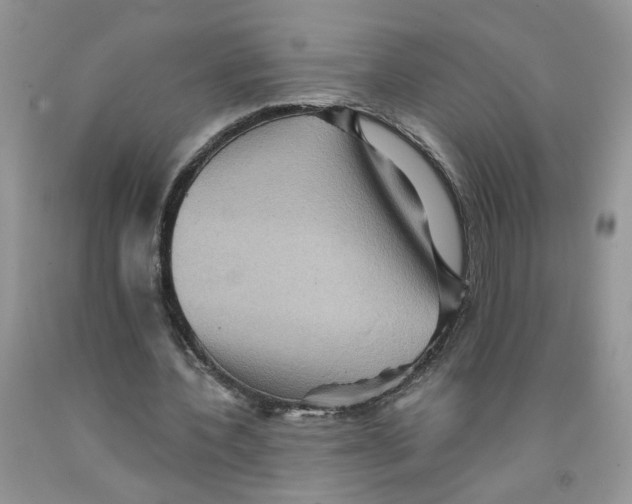 X0000091510532200709141356