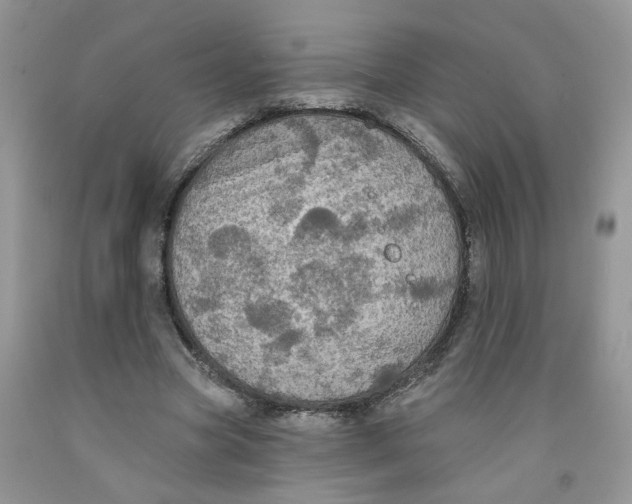 X0000091510537200709141357