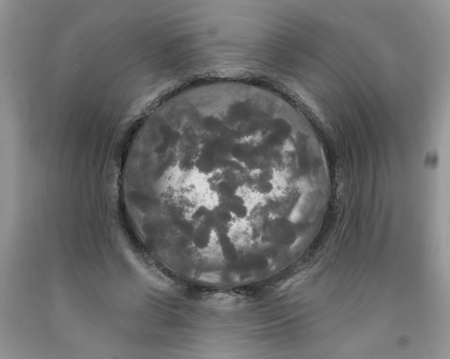 X0000091510542200709141357