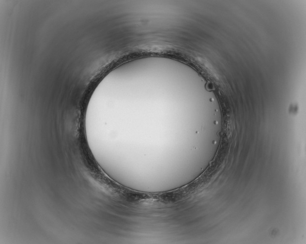 X0000091510544200709141357