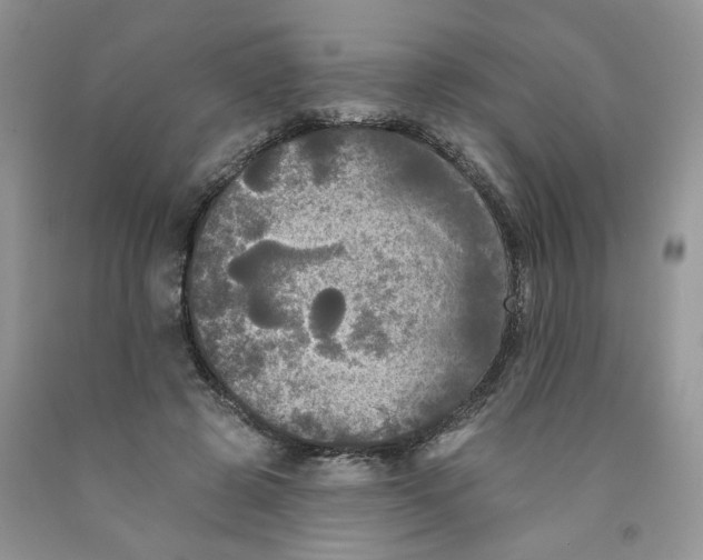 X0000091510545200709141357