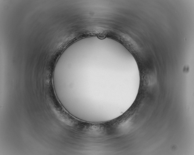 X0000091510546200709141357