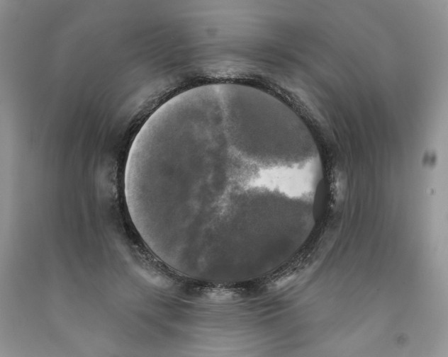 X0000091510547200709141357